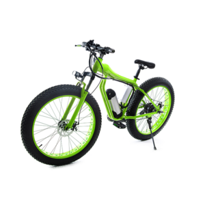 eBike